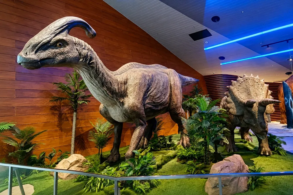 Wisata edukasi baru di solo, Zona Purba (Paleontologi) Tahir Museum Solo